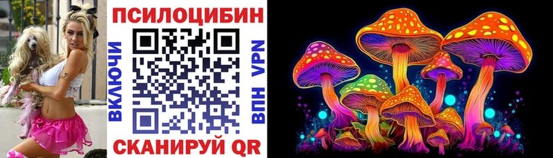где можно купить наркотик  Волжский  Псилоцибиновые грибы ЛСД 